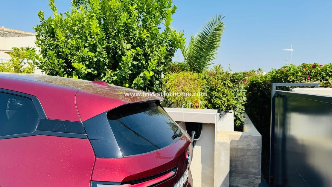 Sale - Villa - Algorfa - Inland