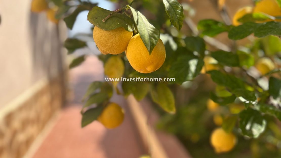 Sale - Villa - Algorfa - Inland