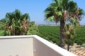 Sale - Villa - Algorfa - Inland
