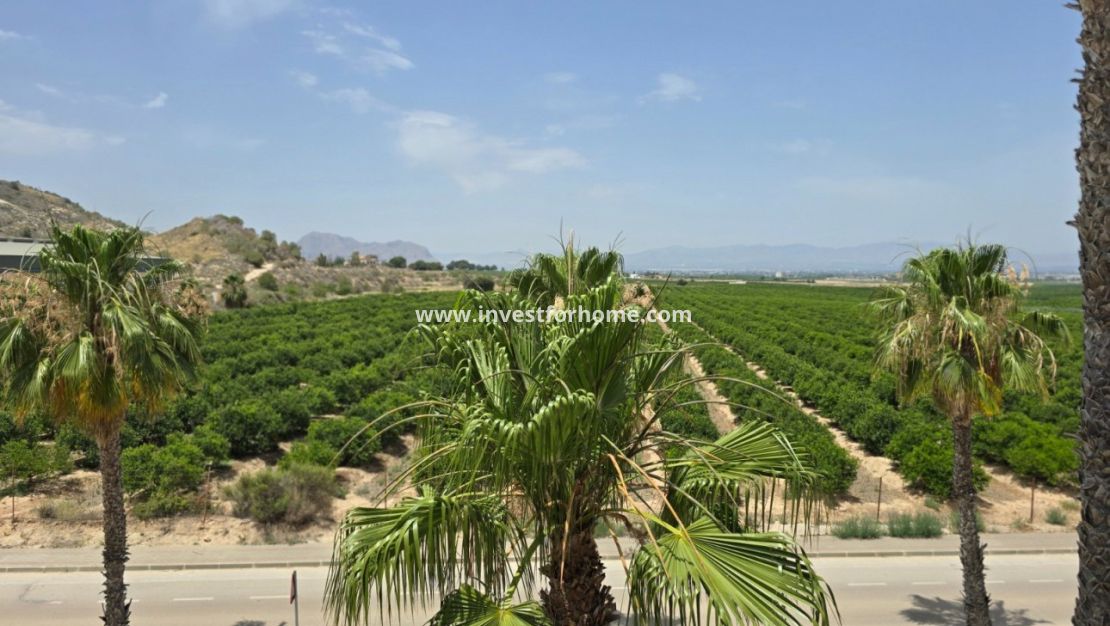 Sale - Villa - Algorfa - Inland