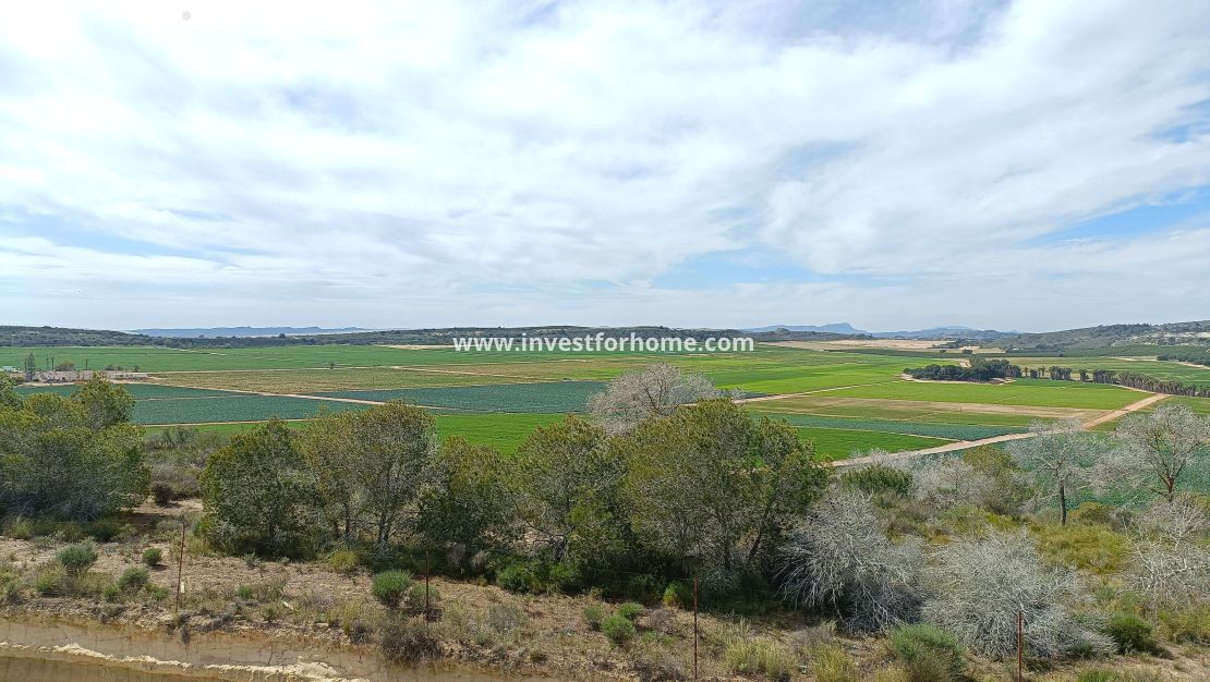 Sale - Villa - Algorfa - Inland