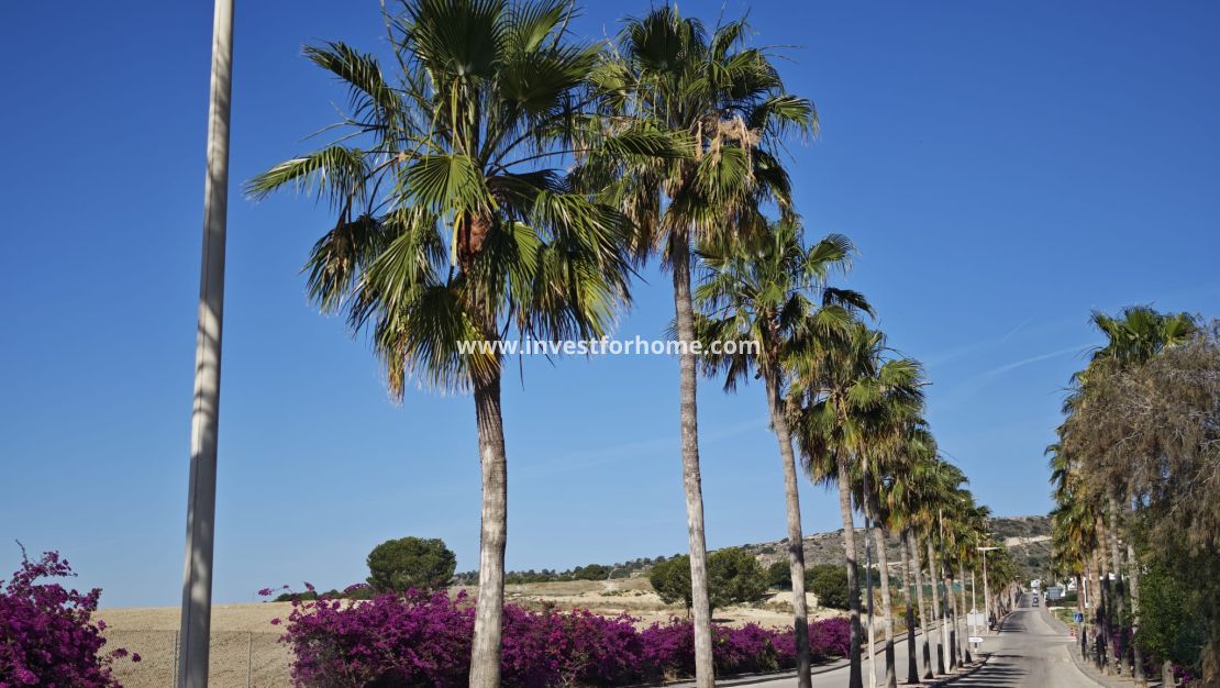 Sale - Villa - Algorfa - Inland