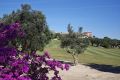 Sale - Villa - Algorfa - Inland