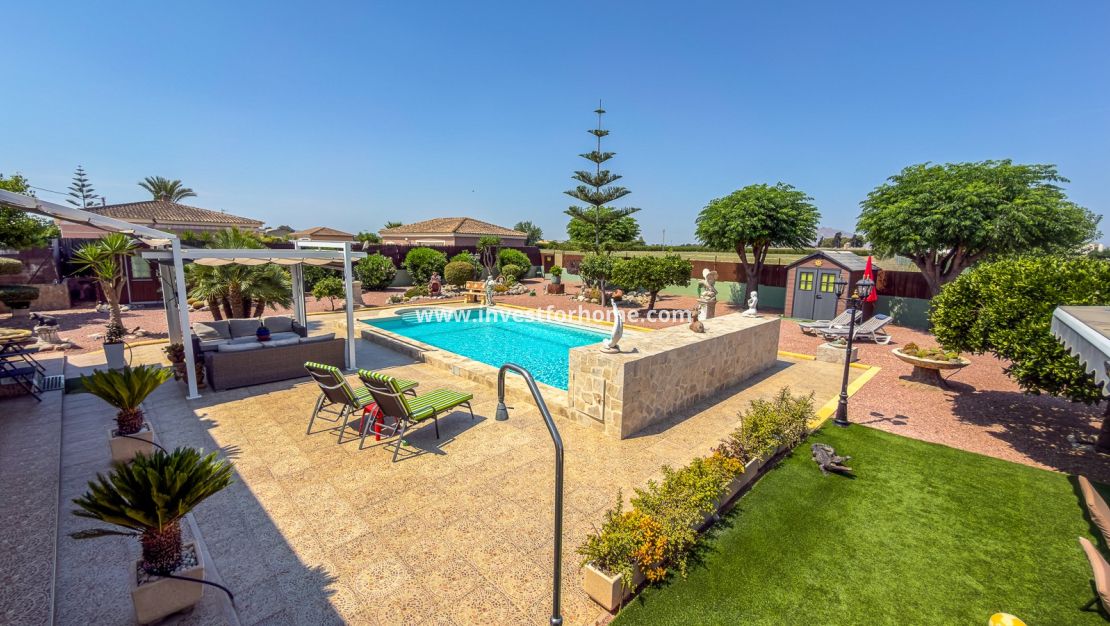 Sale - Villa - Catral - Costa Blanca