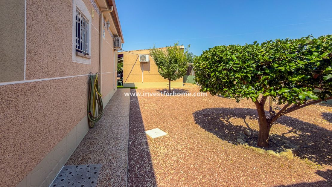 Sale - Villa - Catral - Costa Blanca