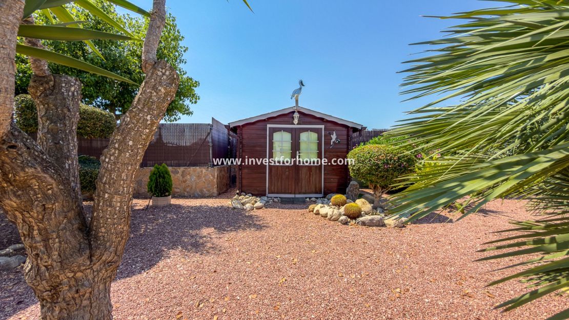 Sale - Villa - Catral - Costa Blanca