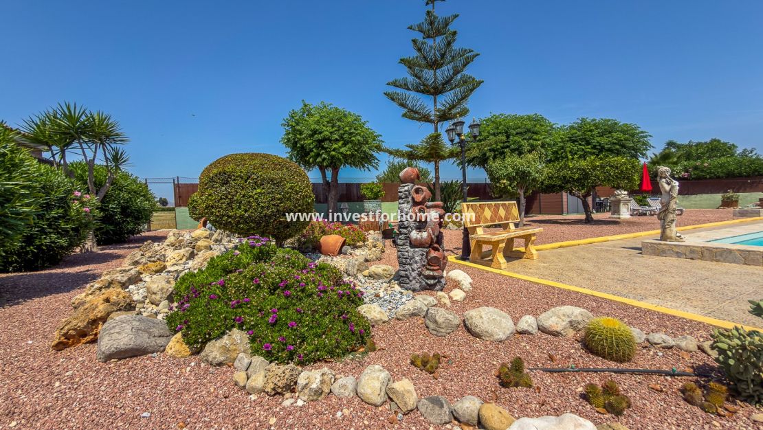 Sale - Villa - Catral - Costa Blanca