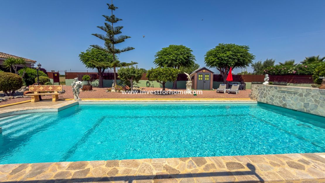 Sale - Villa - Catral - Costa Blanca