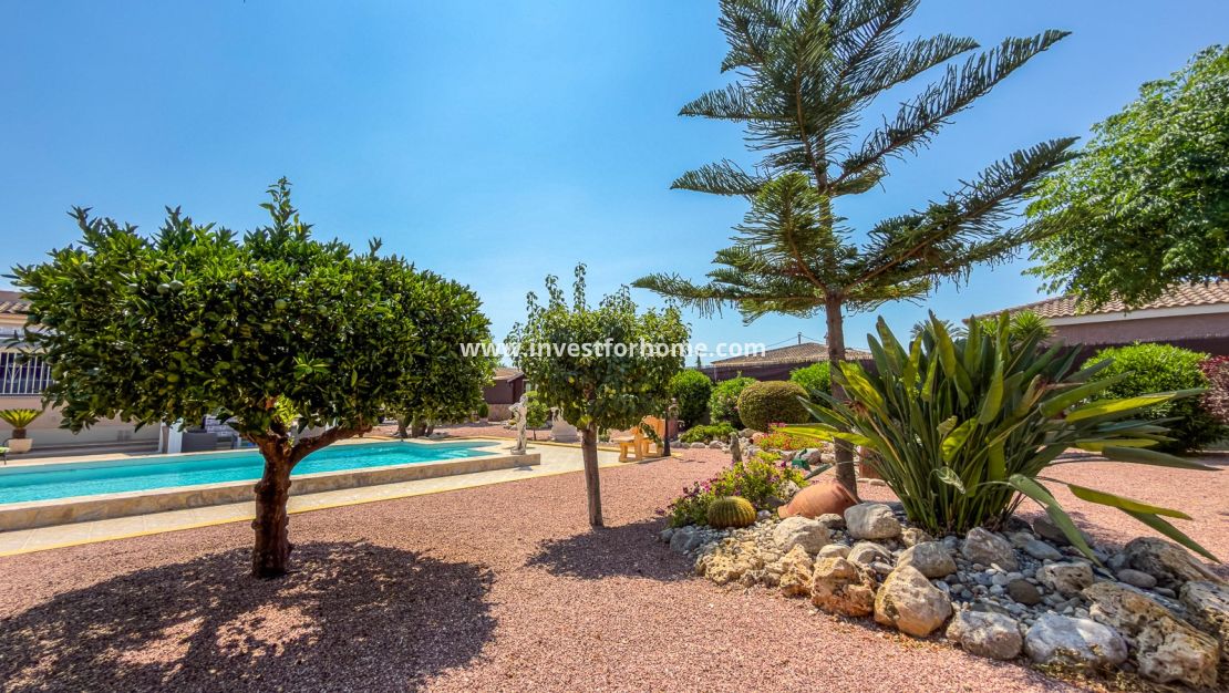 Sale - Villa - Catral - Costa Blanca