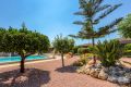 Sale - Villa - Catral - Costa Blanca