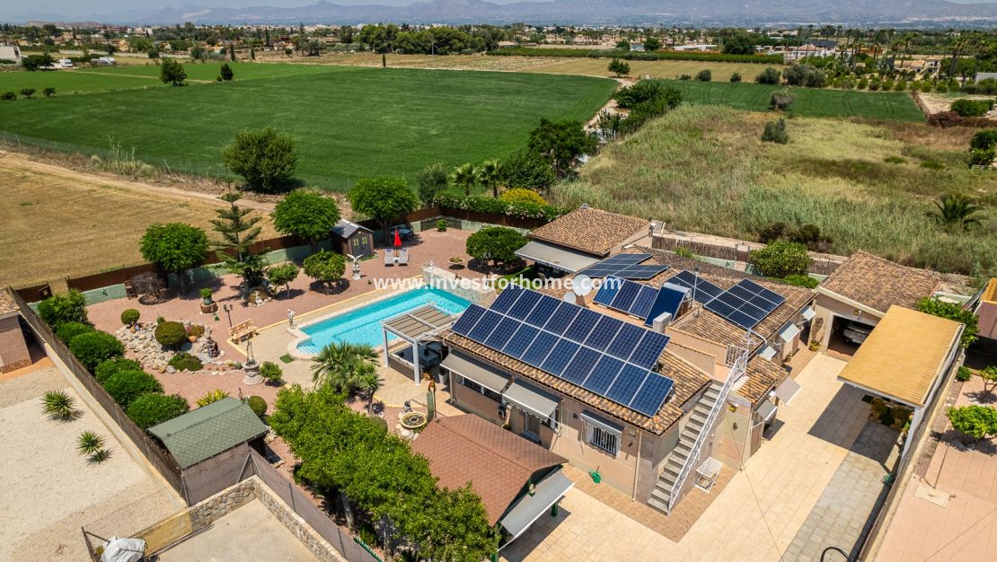 Sale - Villa - Catral - Costa Blanca