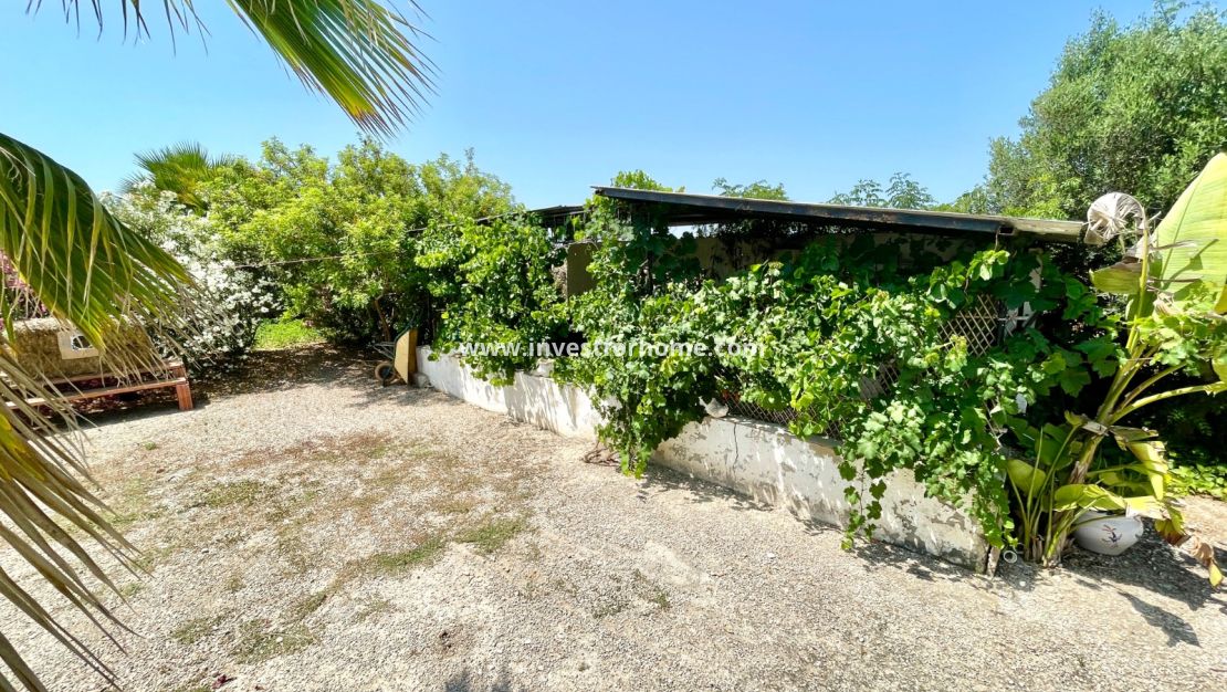 Sale - Villa - Daya Nueva - Costa Blanca