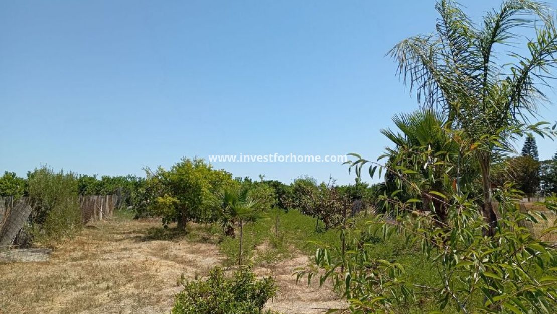 Sale - Villa - Daya Nueva - Costa Blanca