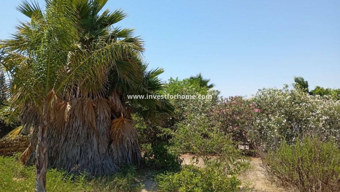 Sale - Villa - Daya Nueva - Costa Blanca