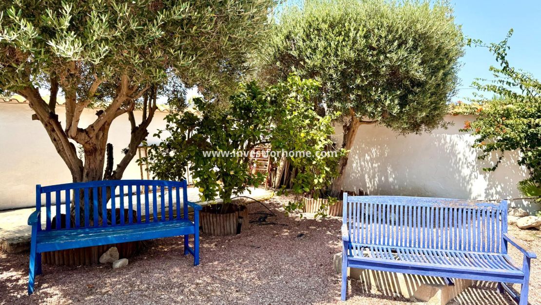 Sale - Villa - Dolores - Comunidad Valenciana