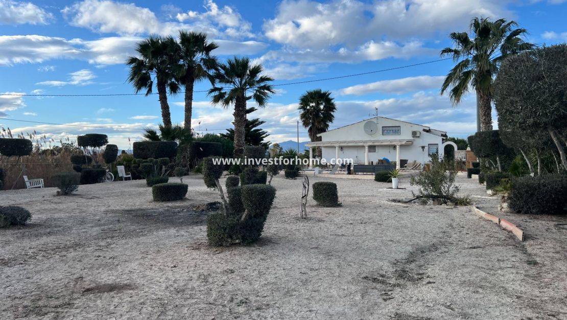 Sale - Villa - Dolores - Comunidad Valenciana