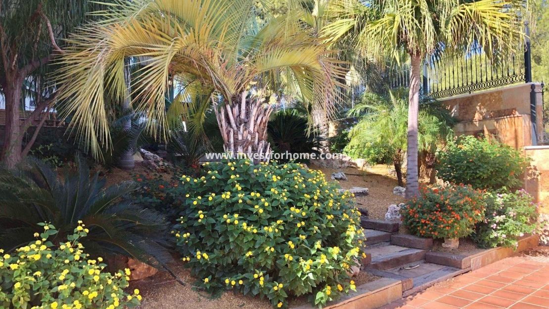 Sale - Villa - El Palmar