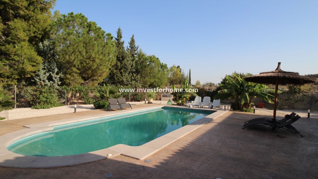 Sale - Villa - Fortuna - Inland