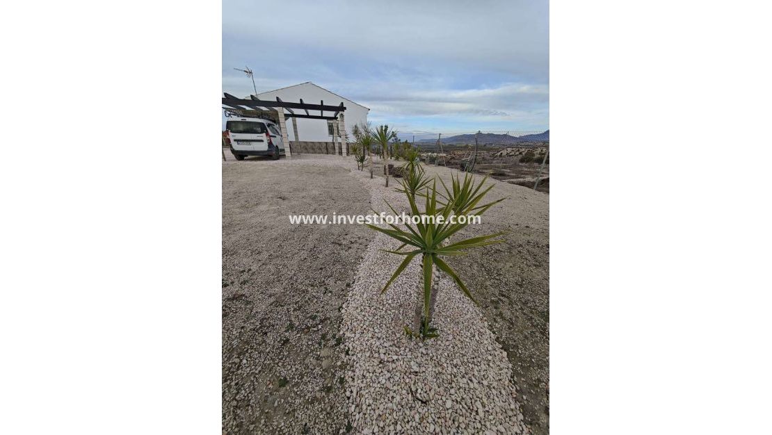 Sale - Villa - Fortuna - Inland