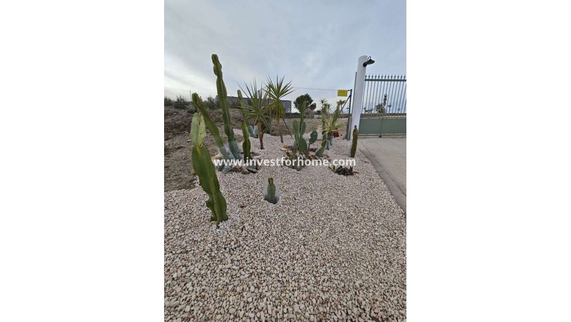 Sale - Villa - Fortuna - Inland