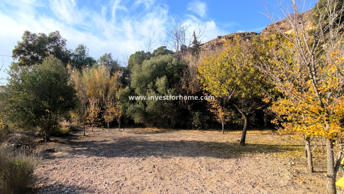 Sale - Villa - Fortuna - Inland