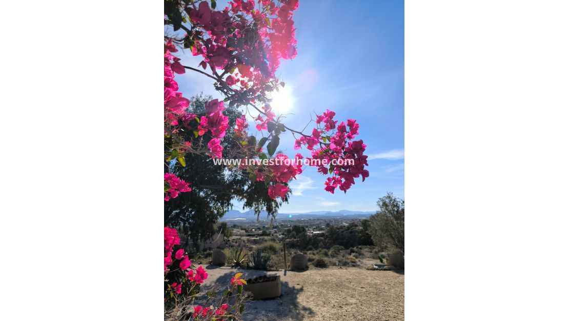 Sale - Villa - Fortuna - Inland