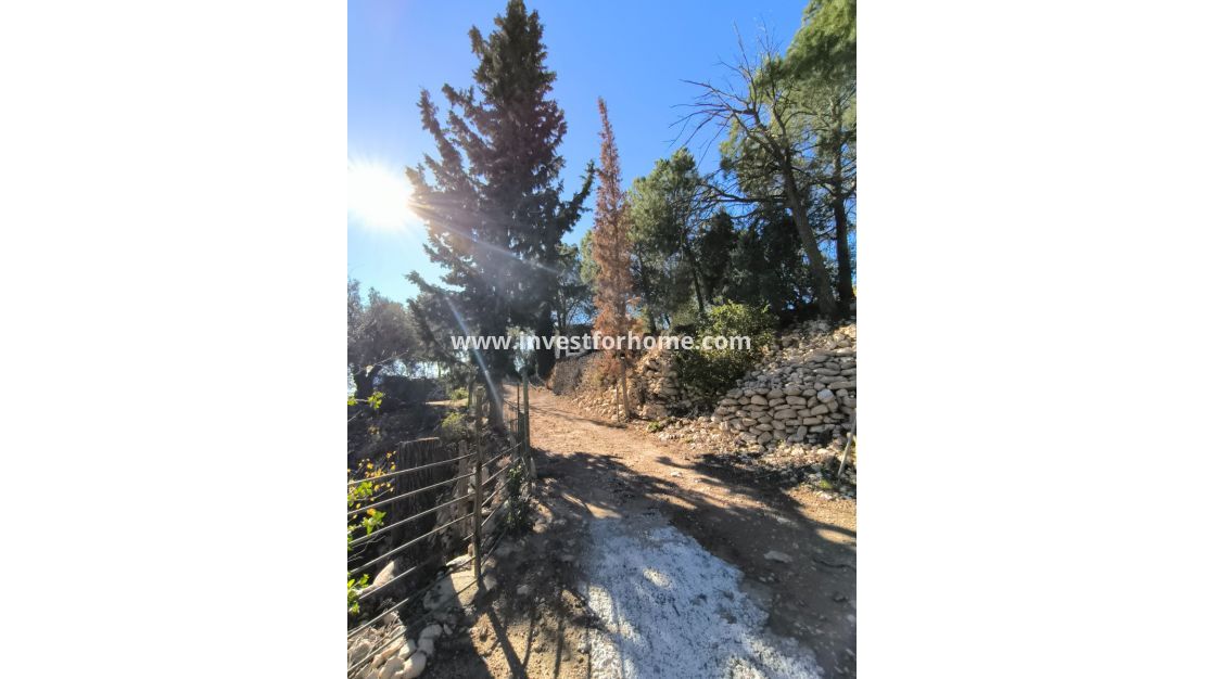 Sale - Villa - Fortuna - Inland