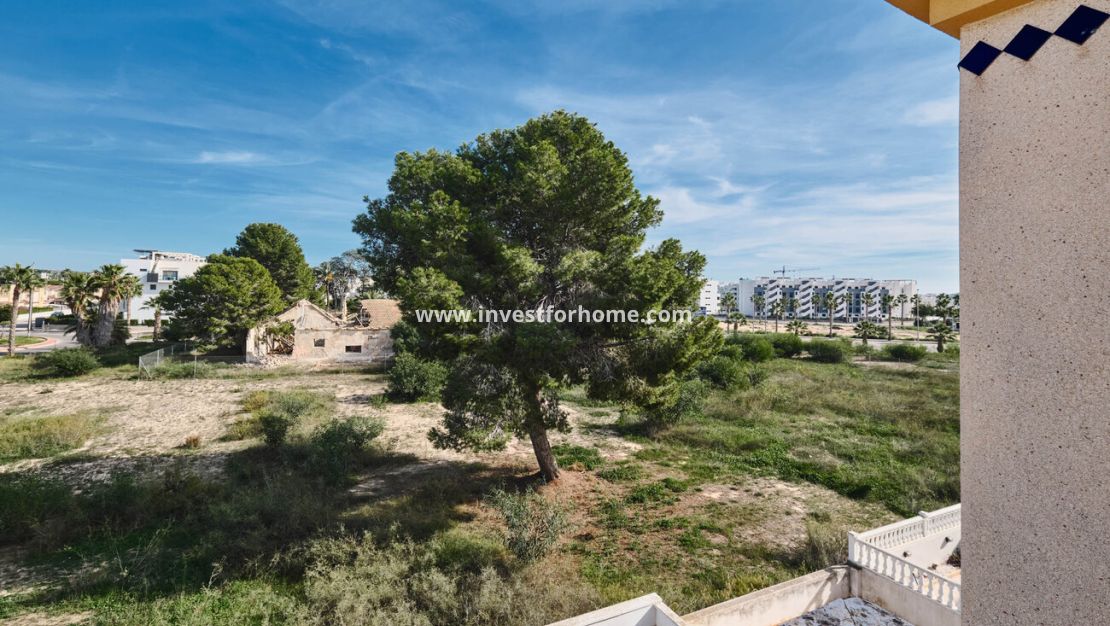Sale - Villa - Guardamar del Segura - El Raso