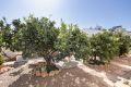 Sale - Villa - La Regia - Costa Blanca