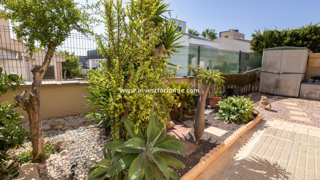 Sale - Villa - La Regia - Costa Blanca