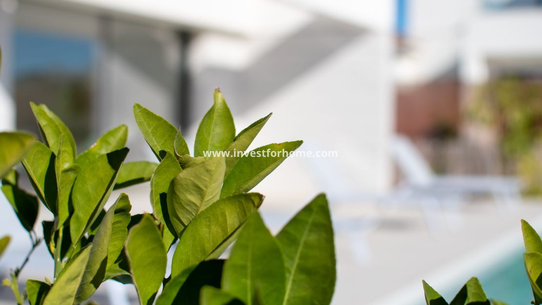 Sale - Villa - Los Montesinos - Costa Blanca