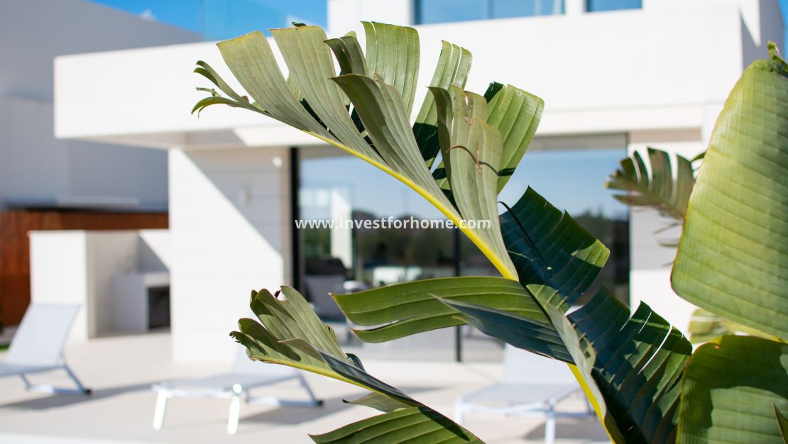 Sale - Villa - Los Montesinos - Costa Blanca