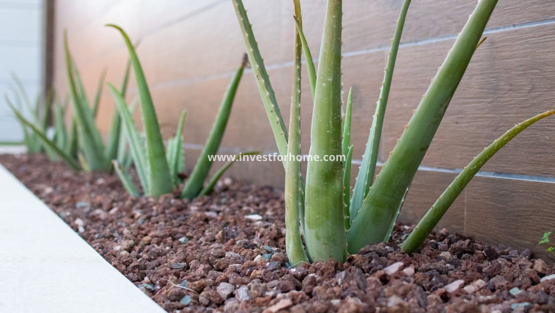 Sale - Villa - Los Montesinos - Costa Blanca