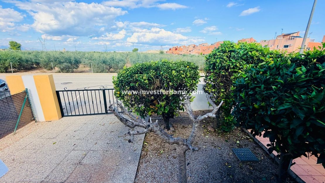 Sale - Villa - Los Montesinos - La Herrada