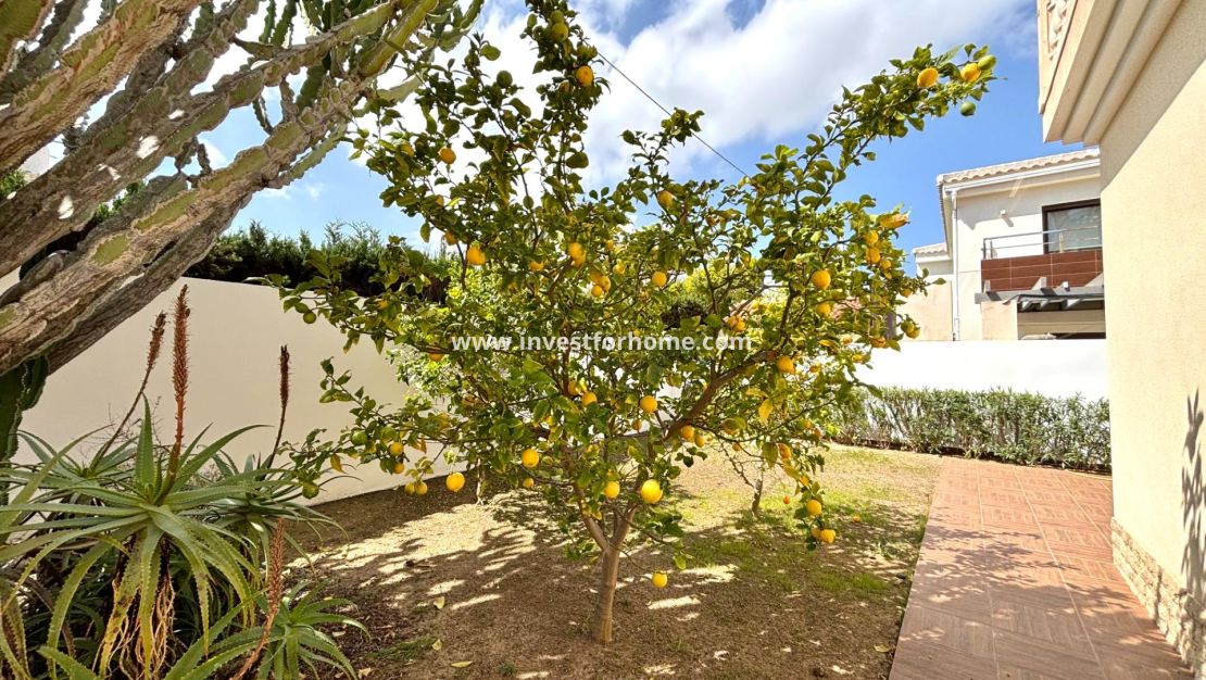 Sale - Villa - Orihuela Costa - Costa Blanca