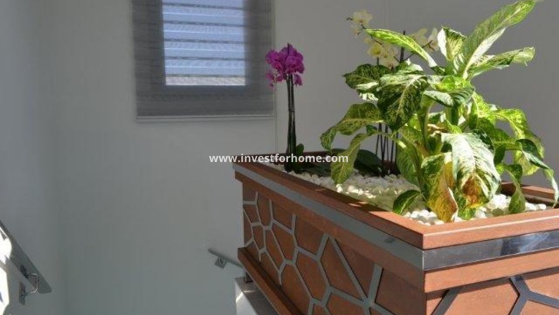 Sale - Villa - Orihuela Costa - Costa Blanca