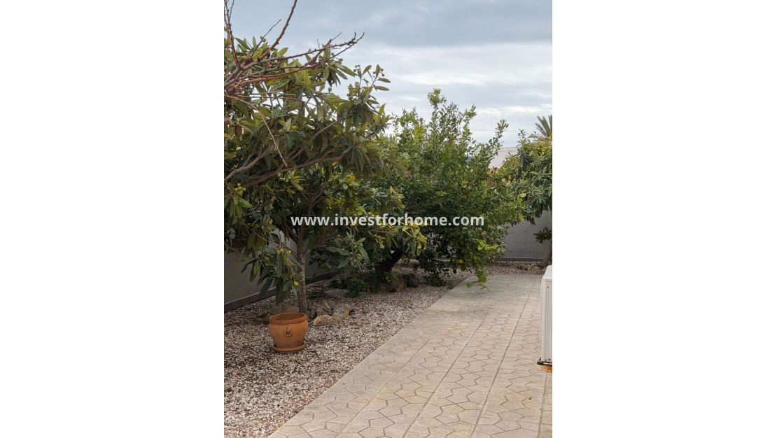 Sale - Villa - Orihuela Costa - Costa Blanca