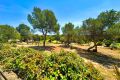 Sale - Villa - Orihuela Costa - Costa Blanca