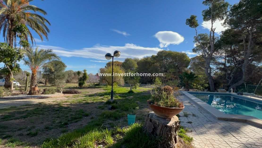 Sale - Villa - Orihuela Costa - Dehesa De Campoamor