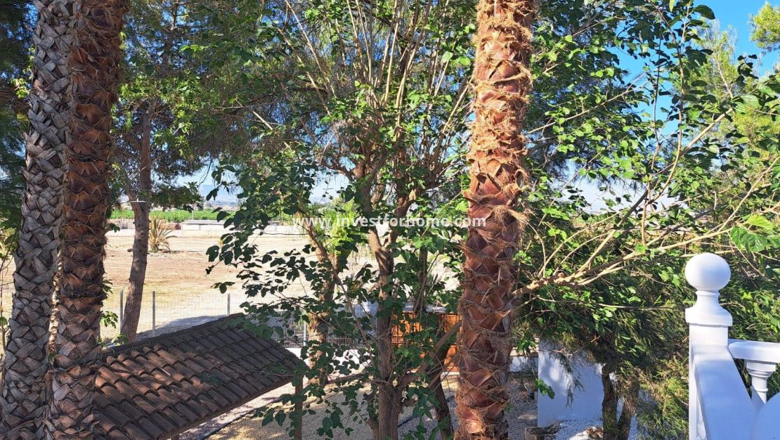 Sale - Villa - Orihuela Costa - Desamparados-hurchillo-torremendo