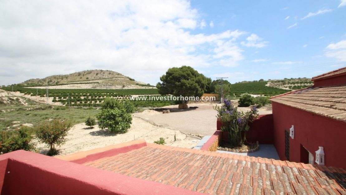 Sale - Villa - Orihuela Costa - Inland