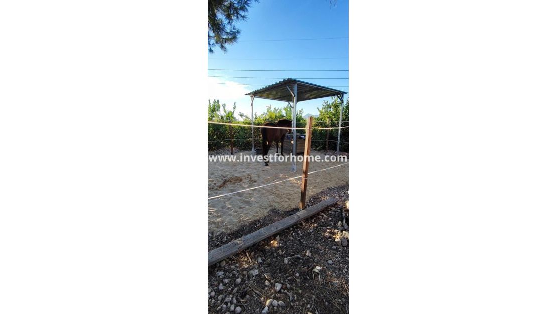 Sale - Villa - Orihuela Costa - Inland