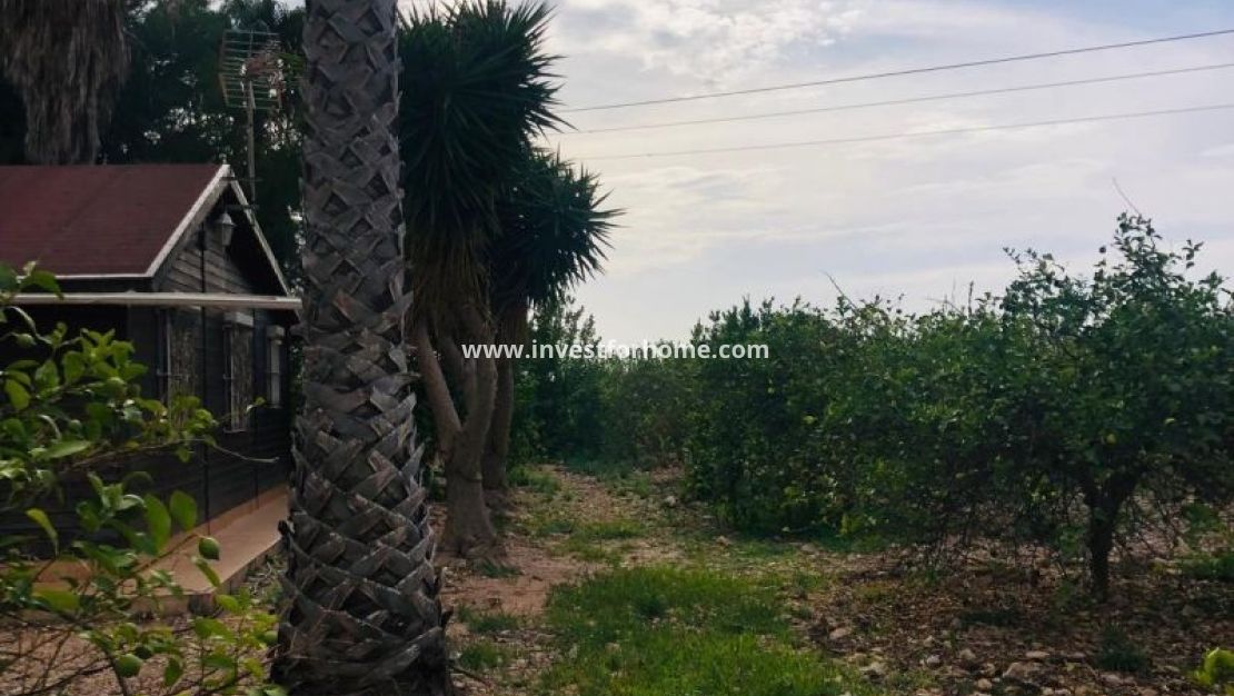 Sale - Villa - Orihuela Costa - Inland