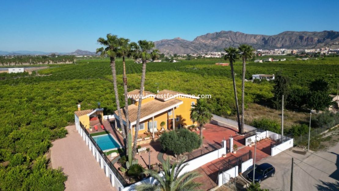 Sale - Villa - Orihuela Costa - Inland