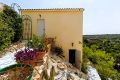 Sale - Villa - Orihuela Costa - Inland