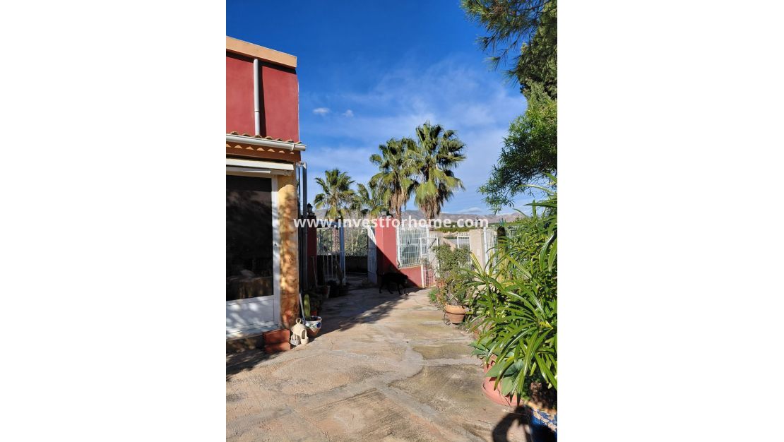 Sale - Villa - Orihuela Costa - Inland