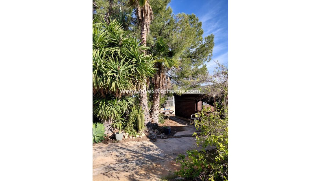 Sale - Villa - Orihuela Costa - Inland