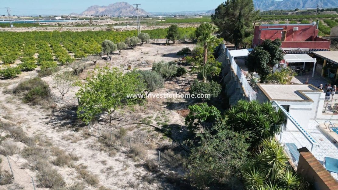 Sale - Villa - Orihuela Costa - Inland