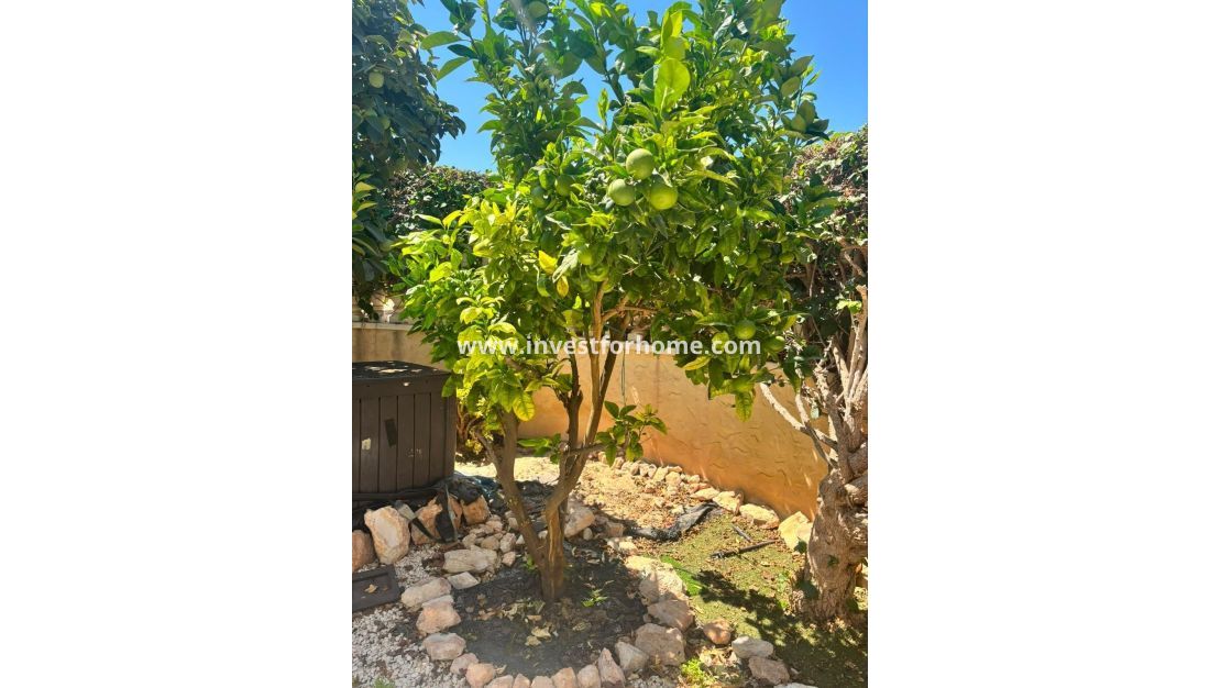 Sale - Villa - Orihuela Costa - Lomas De Cabo Roig