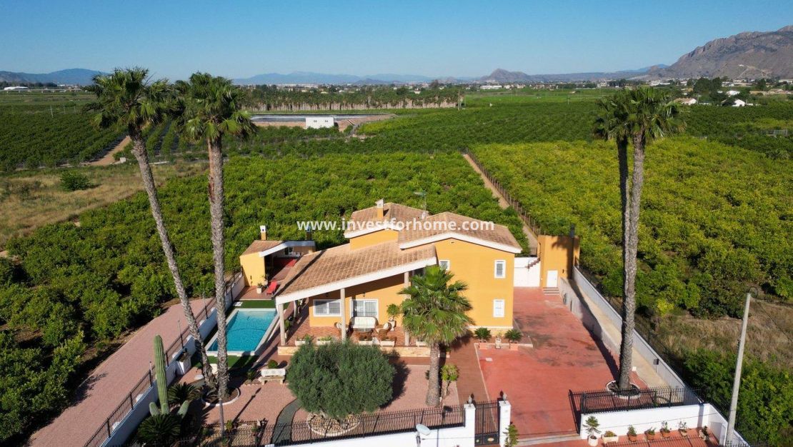 Sale - Villa - Orihuela Costa - Orihuela Ciudad